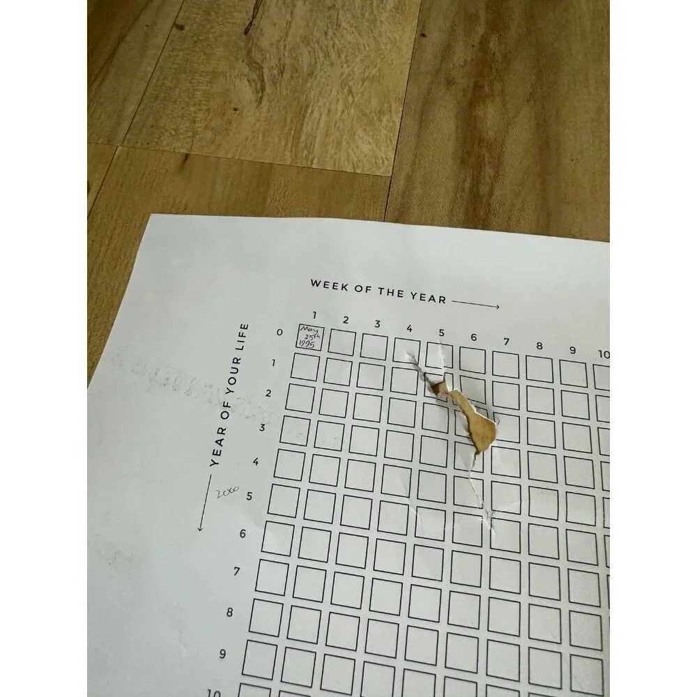 Wait by Why Store Life Calendar